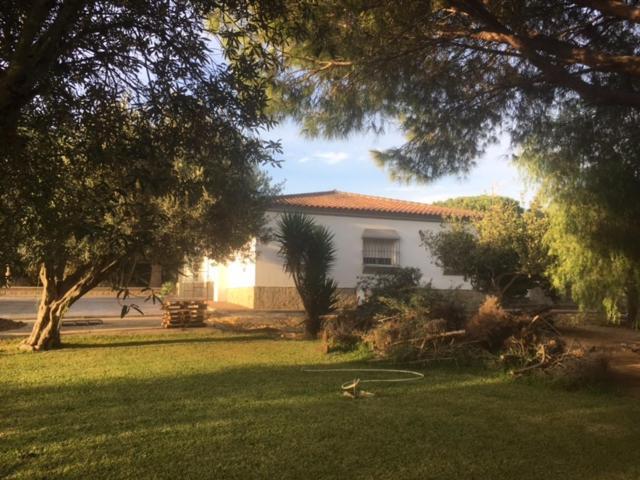 Villa Torrealta, 4000 M2 Cádiz Exterior foto