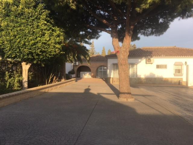 Villa Torrealta, 4000 M2 Cádiz Exterior foto